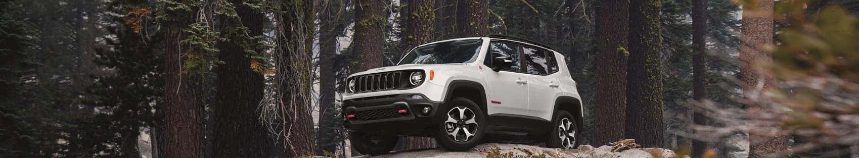 Jeep Dealer St. Petersburg FL