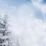 Winter tree and sky