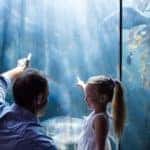 Father and daughter looking at fish at the aquarium