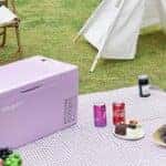 Portable Electric Cooler Picnic Set Up