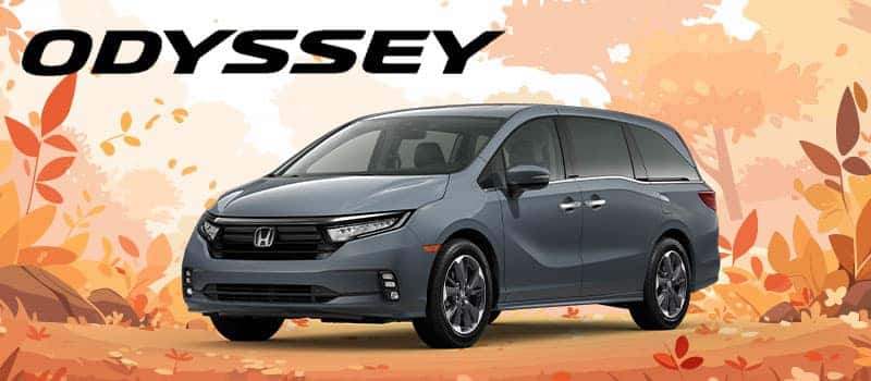 2024 Odyssey Elite