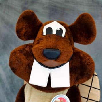 Bucky  Beaver 