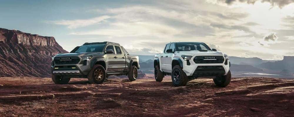 2024 Toyota Tacoma Models