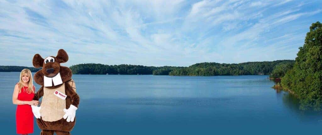 Beaver Toyota Lake