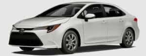 Toyota Corolla in Ice Cap