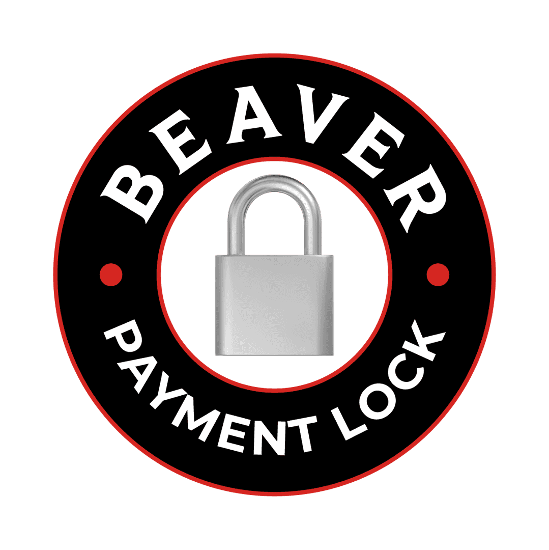 Payment Lock icon
