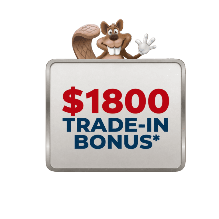 Capital One Partnership