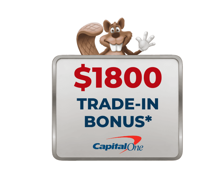 Capital One Partnership