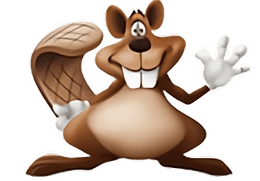 Buckey Beaver, the Beaver Toyota of Cumming mascot