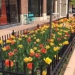 Ten Things To Do In Naperville This Summer