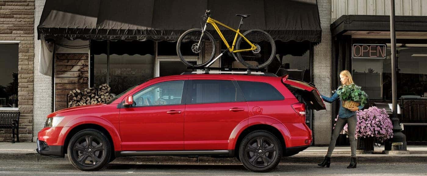 Bike rack for clearance dodge journey