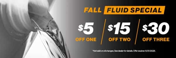 Fall Fluid Special | $5 Off One / $15 Off Two / $30 off Three” width=