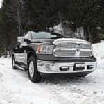 Winter Ram