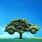 tree