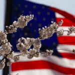 american-flag-and-flowers