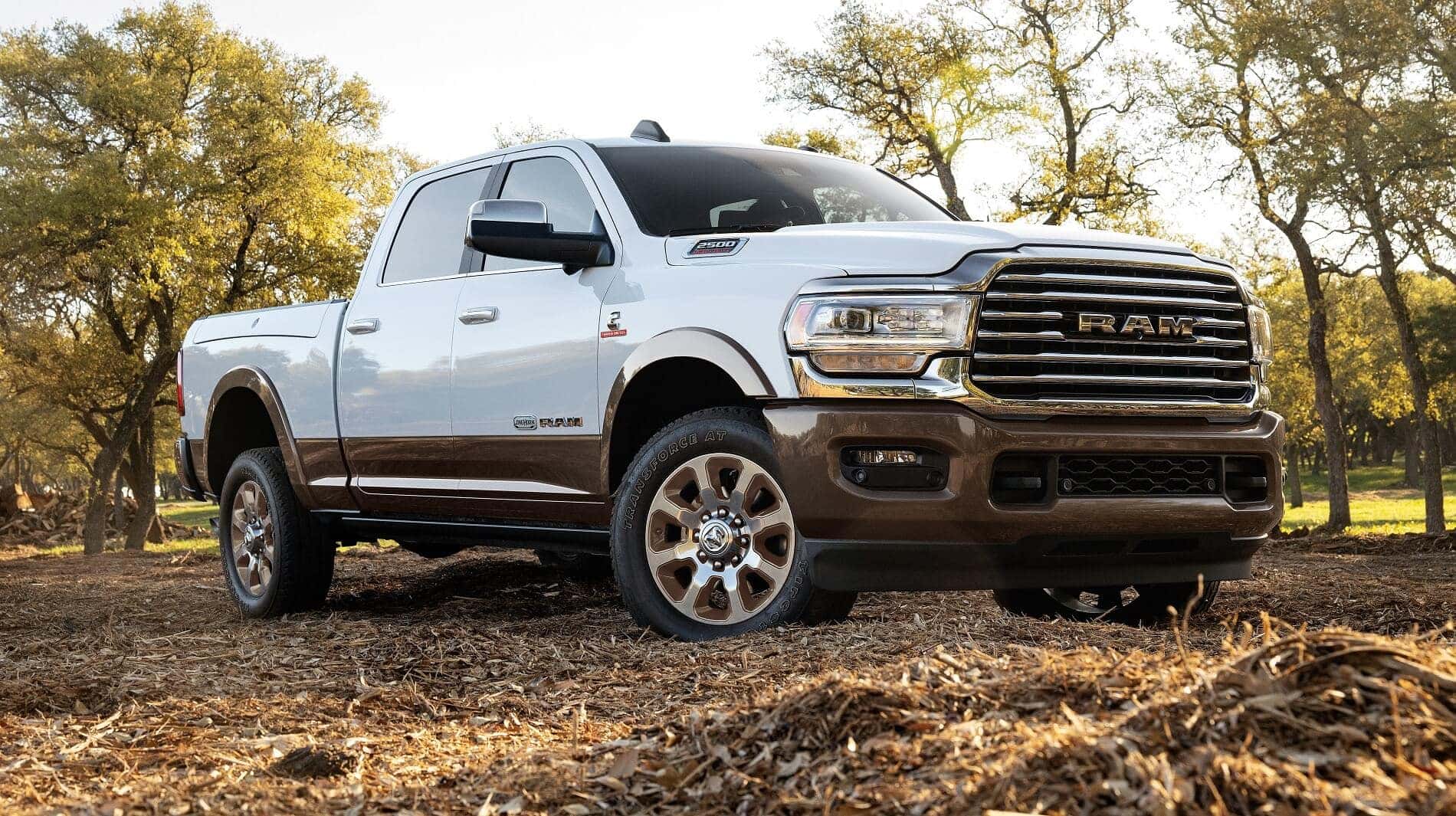 Discover our Ram Inventory