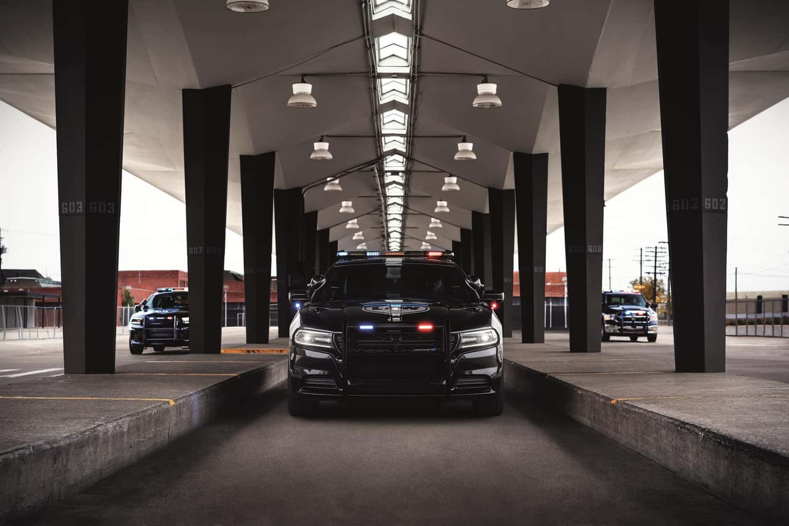 Step Into a Dodge 