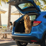 pet-fiendly-honda-vehicule-honda-hr-v