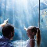 Father and daughter pointing at fish in aquarium tank