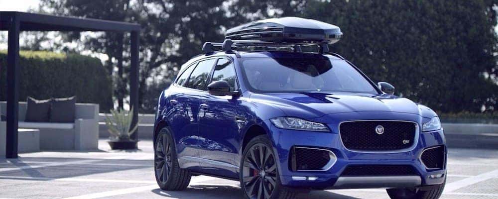 jaguar e pace dog guard