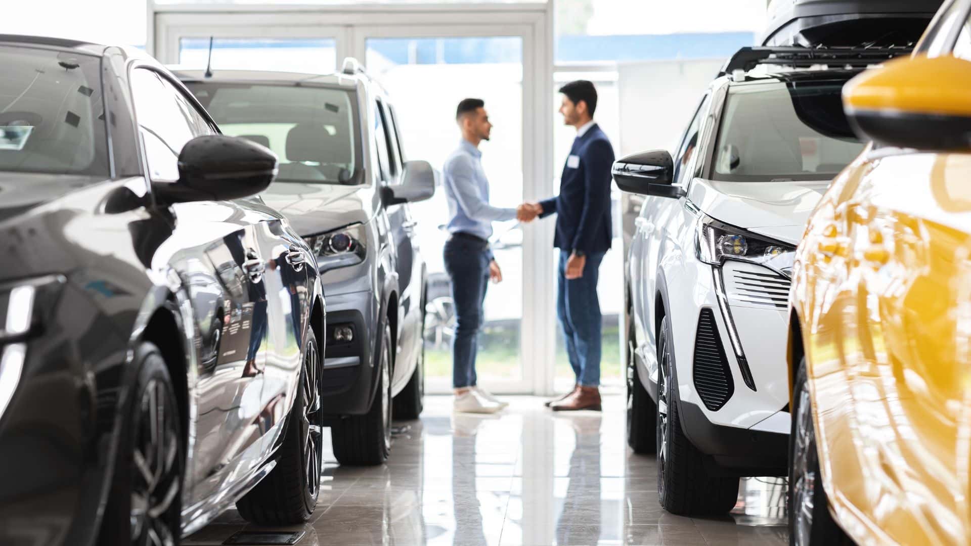 Customer in Showroom