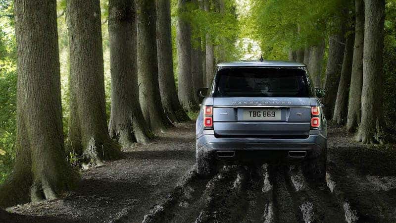 Back view of a light blue Range Rover in a forest between tall trees