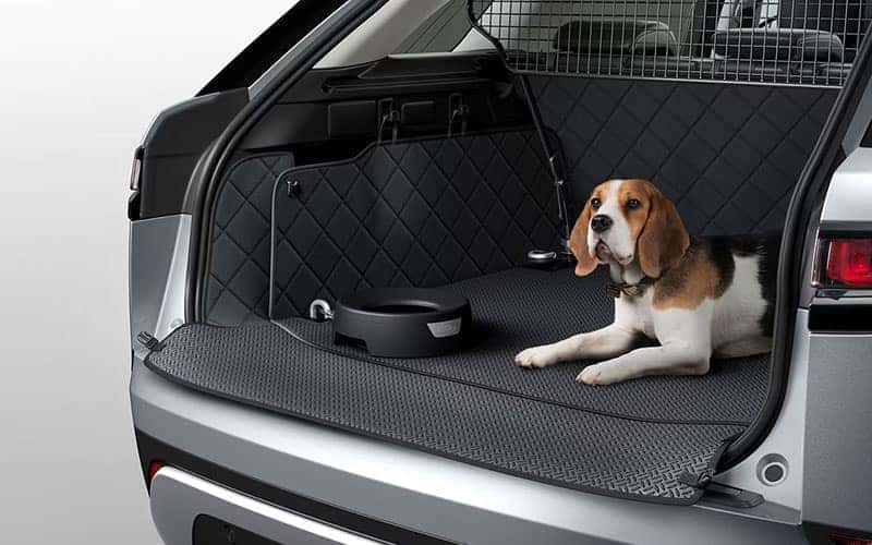 Land Rover Pet Cargo Space Protection Pack