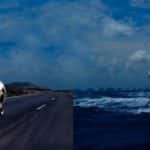 Ocean Speed Racing Yacht Team
