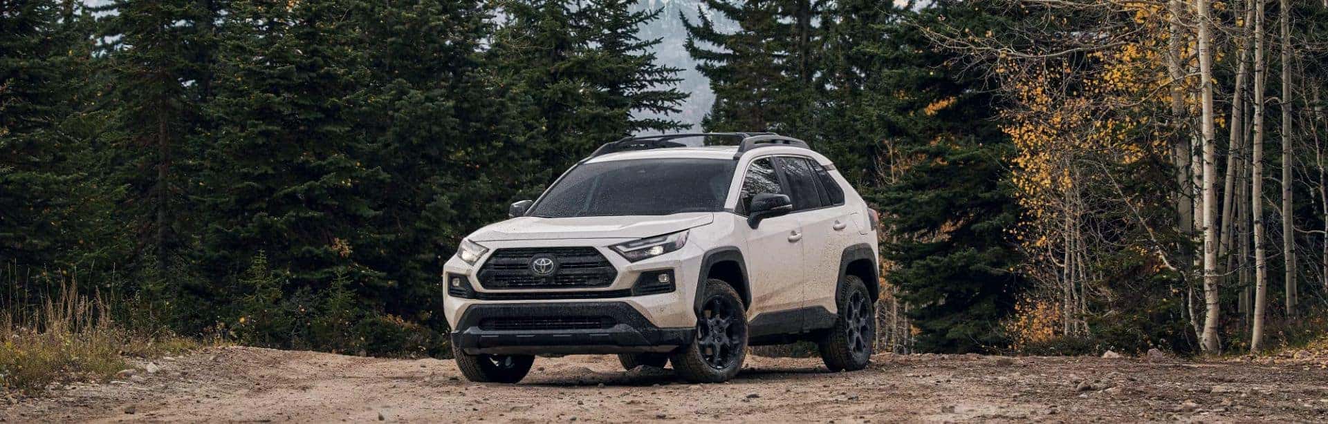 RAV4 Hybrid