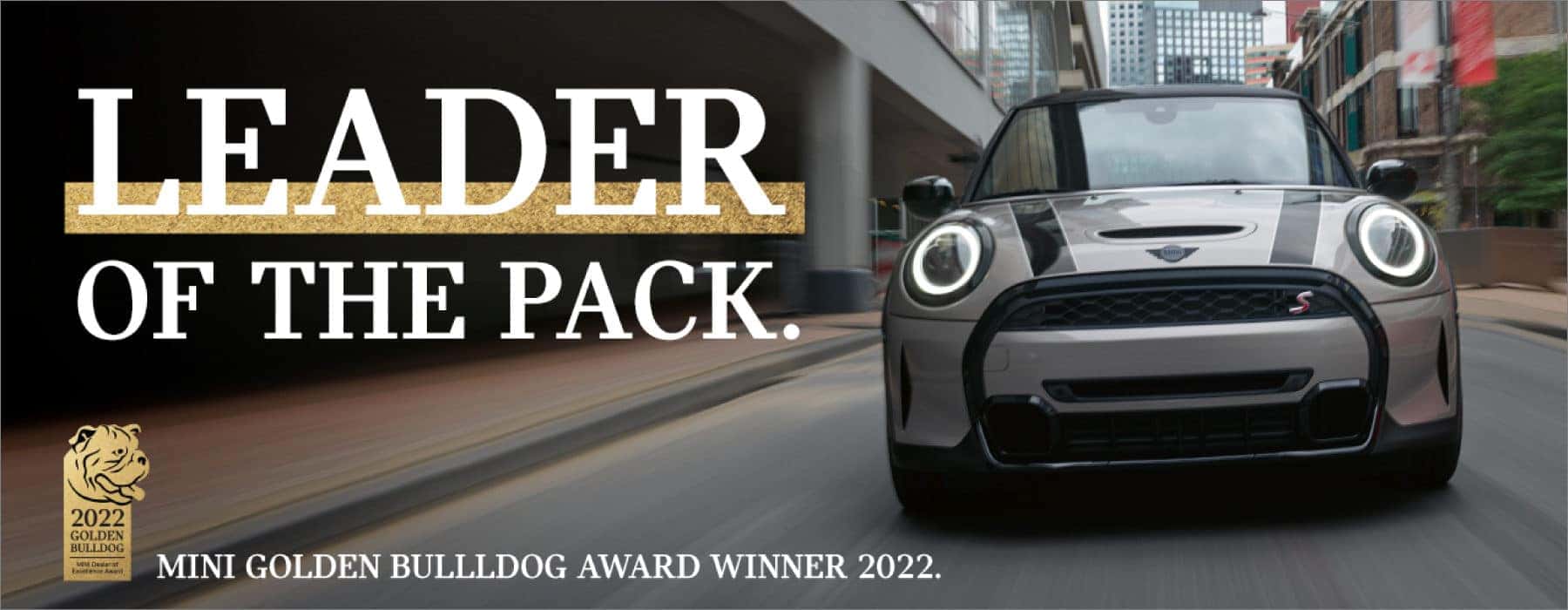 LEADER OF THE PACK.