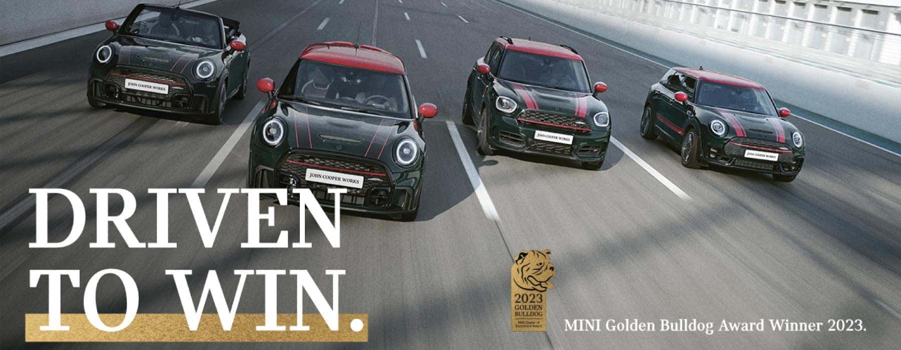 Driven to win. MINI of Mt. Laurel Bull Dog Award 2023.