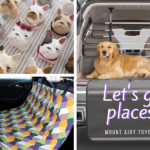 Let's go places! Best Travel Accessories for Your Dog and Cat