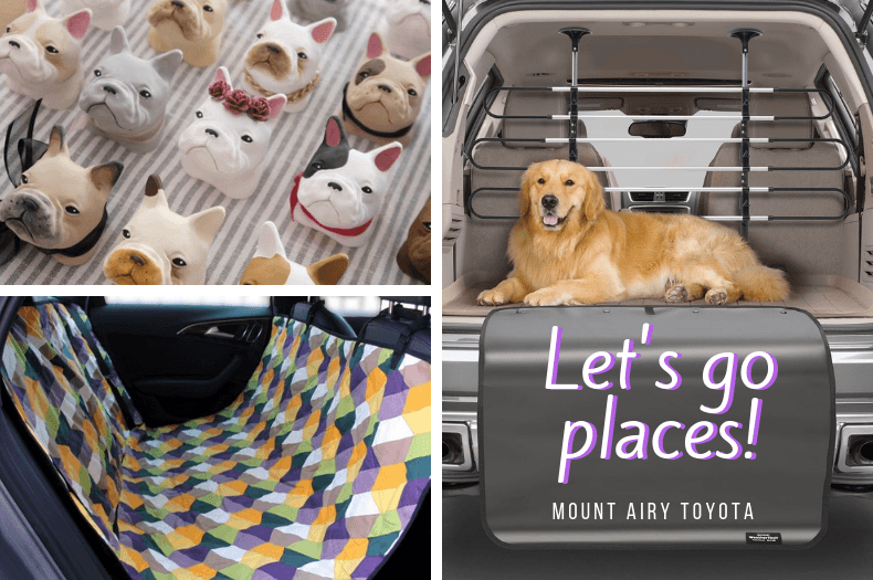 The Best Travel Accessories For Your Pet Mount Airy Toyota