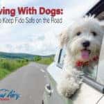 Car Safety and Your Dog