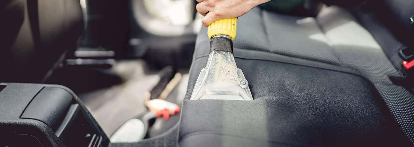 How to Get Rid of Car Mold, Car Mold Removal