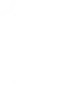 Shield Icon