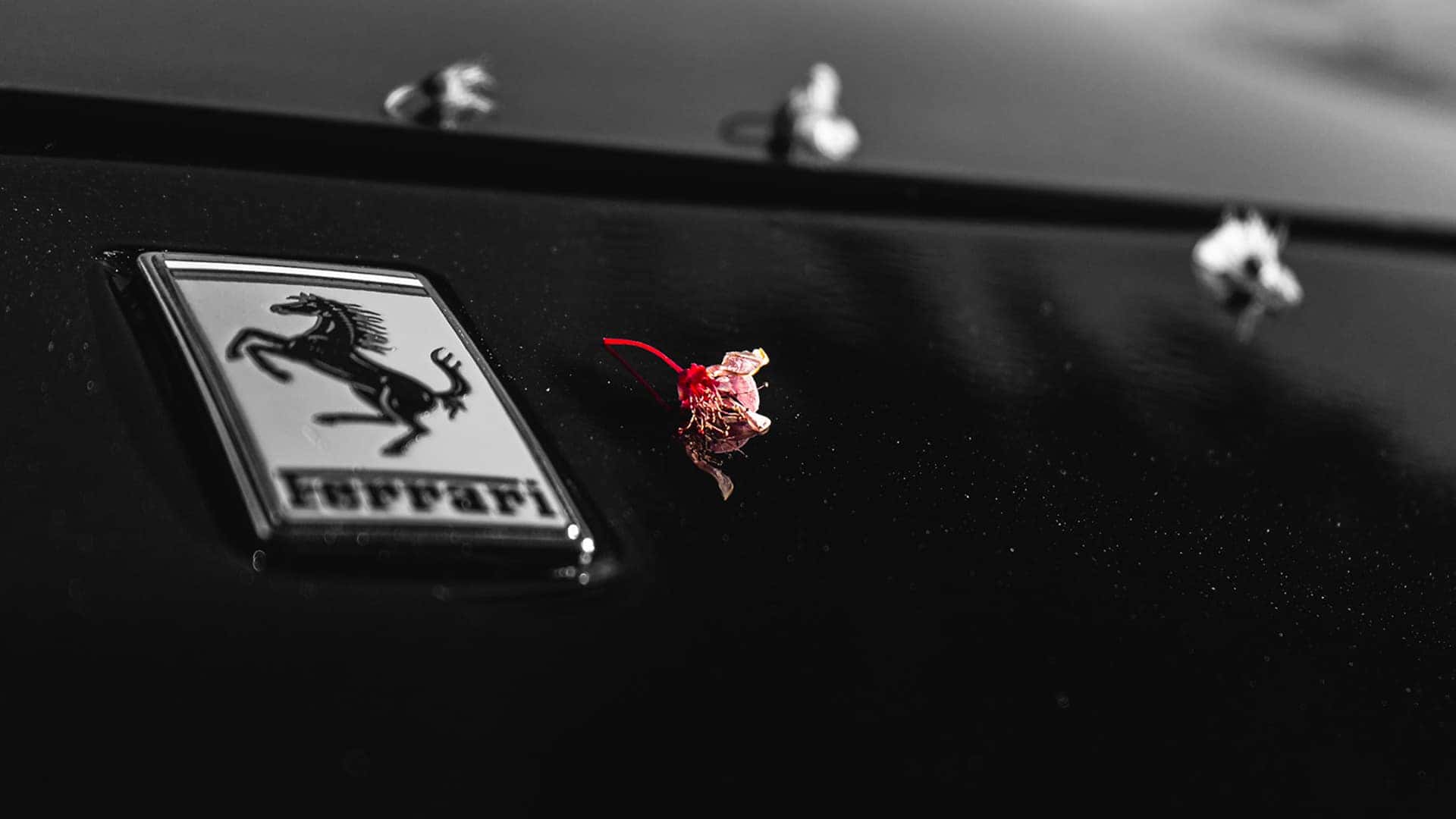 ferrari emblem