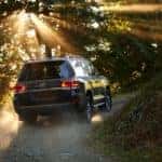 2018 Toyota Land Cruiser full sized SUV forest sunlight