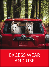 Schuamburg Excess Wear Protection