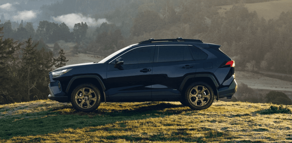 2025 Toyota RAV4
