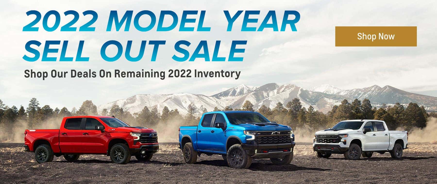 2022 Model Year Sell Out Sale