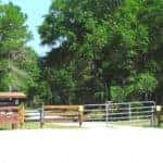 Green Swamp East Tract