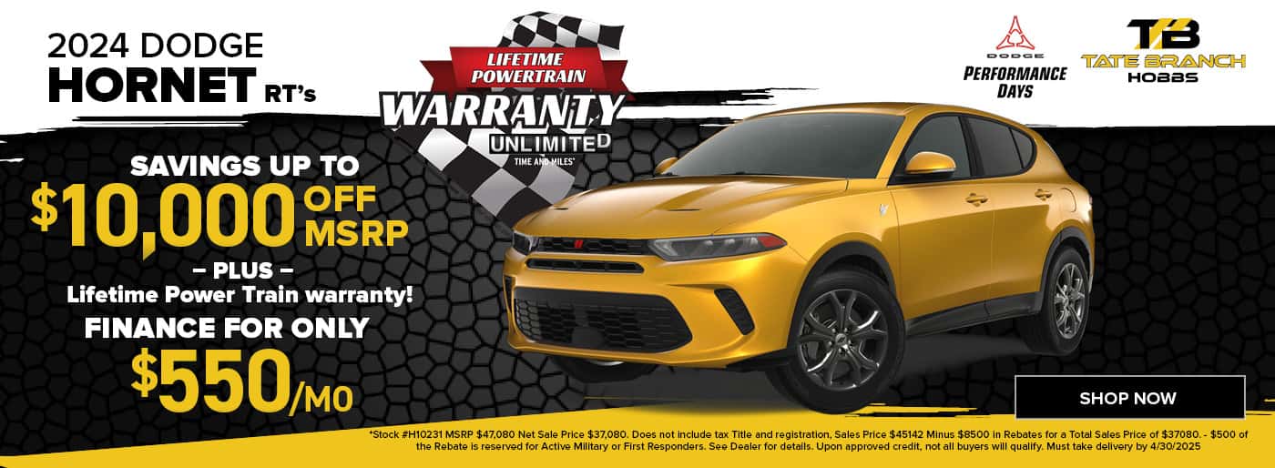 2024 DODGE HORNET R/T’s
