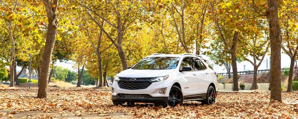 DGDG 2020 Chevy Equinox
