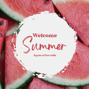 "welcome summer Toyota of Corvallis" is written on circle white and watermelons on it.