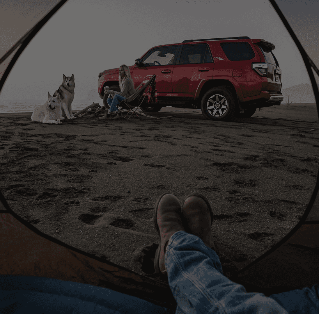 dog next to red vehicle