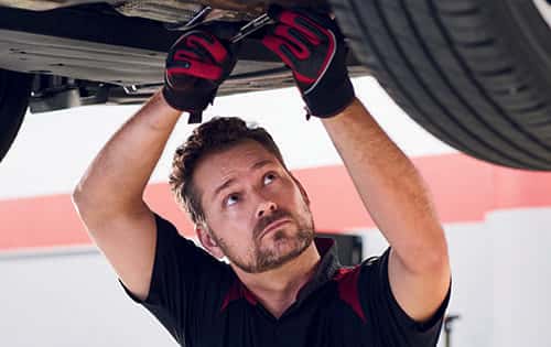 SUMMER LUBE, OIL &amp; FILTER SERVICE