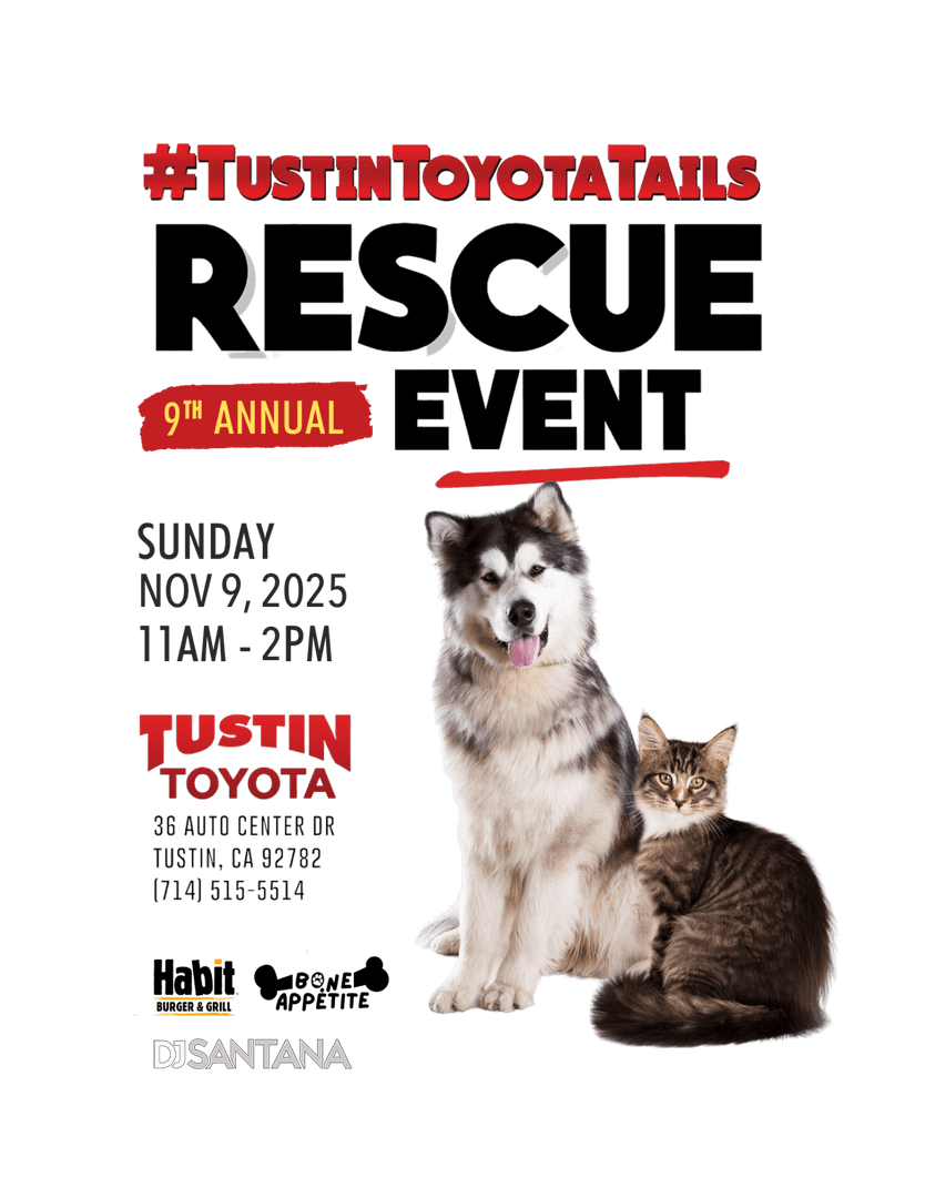 Tustin Toyota Pet Rescue Adoption Event | Tustin Toyota