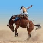 rodeo