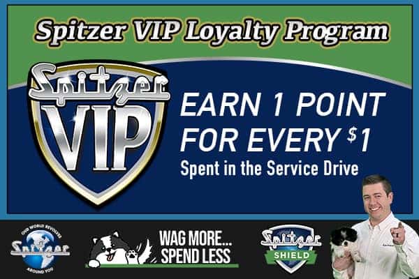 1 Point Per Dollar! - Spitzer VIP